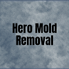 Hero Mold Removal - VA Beach